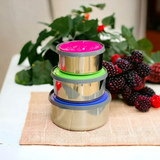 3 Pcs Stainless Steel Bowls With Silicone Lid